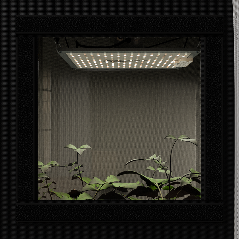 Grow Guide